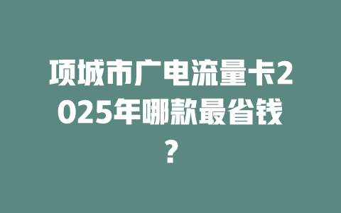 项城市广电流量卡2025年哪款最省钱？