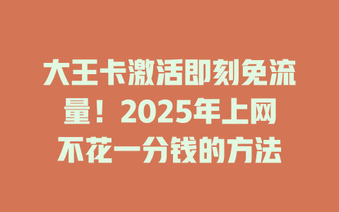 大王卡激活即刻免流量！2025年上网不花一分钱的方法