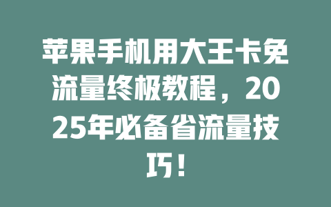 苹果手机用大王卡免流量终极教程，2025年必备省流量技巧！