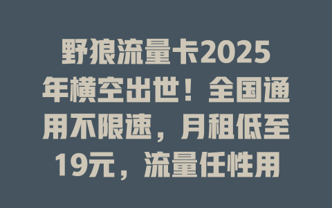 野狼流量卡2025年横空出世！全国通用不限速，月租低至19元，流量任性用！