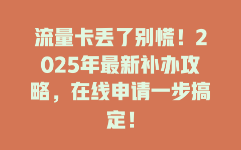 流量卡丢了别慌！2025年最新补办攻略，在线申请一步搞定！
