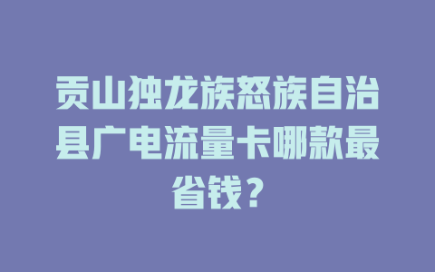 贡山独龙族怒族自治县广电流量卡哪款最省钱？