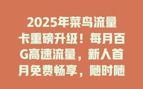 2025年菜鸟流量卡重磅升级！每月百G高速流量，新人首月免费畅享，随时随地轻松上网！