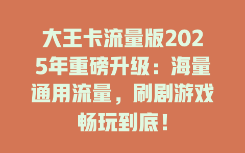 大王卡流量版2025年重磅升级：海量通用流量，刷剧游戏畅玩到底！
