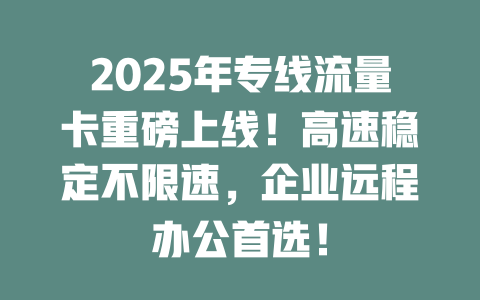 2025年专线流量卡重磅上线！高速稳定不限速，企业远程办公首选！