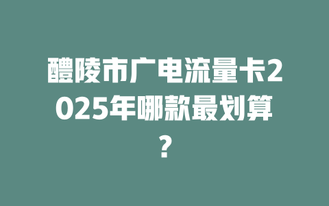 醴陵市广电流量卡2025年哪款最划算？