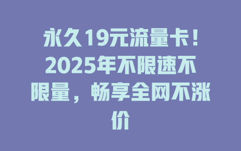 永久19元流量卡！2025年不限速不限量，畅享全网不涨价