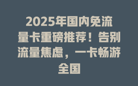 2025年国内免流量卡重磅推荐！告别流量焦虑，一卡畅游全国