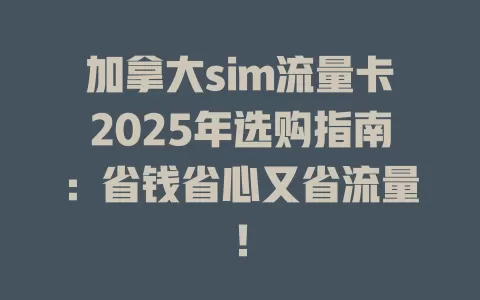 加拿大sim流量卡2025年选购指南：省钱省心又省流量！