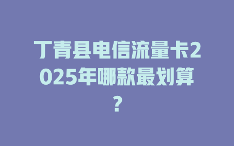 丁青县电信流量卡2025年哪款最划算？