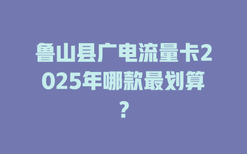 鲁山县广电流量卡2025年哪款最划算？