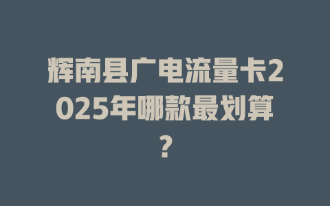 辉南县广电流量卡2025年哪款最划算？