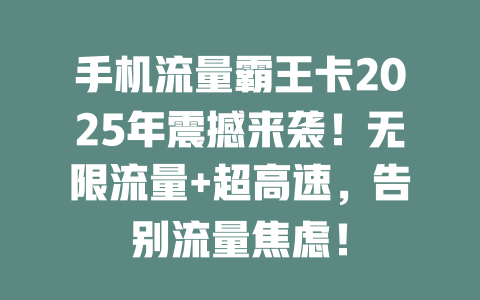 手机流量霸王卡2025年震撼来袭！无限流量+超高速，告别流量焦虑！