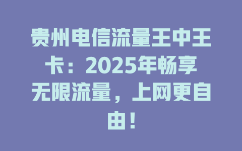 贵州电信流量王中王卡：2025年畅享无限流量，上网更自由！