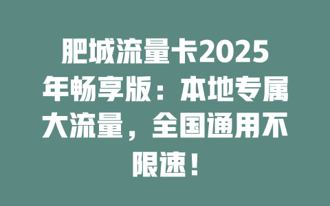 肥城流量卡2025年畅享版：本地专属大流量，全国通用不限速！