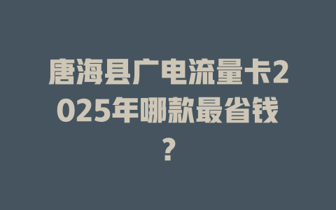 唐海县广电流量卡2025年哪款最省钱？