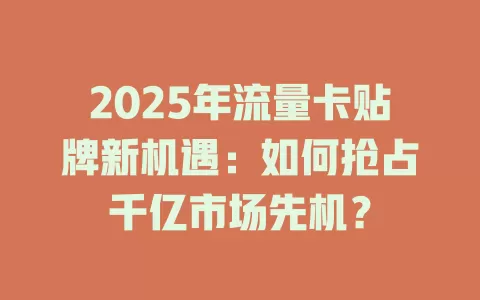 2025年流量卡贴牌新机遇：如何抢占千亿市场先机？