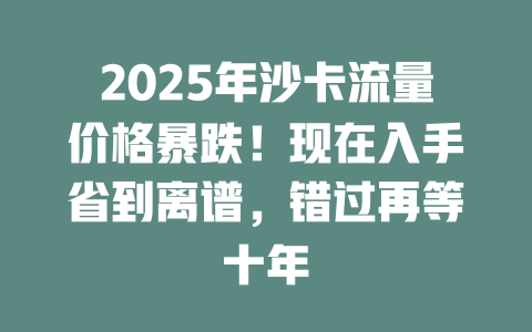 2025年沙卡流量价格暴跌！现在入手省到离谱，错过再等十年