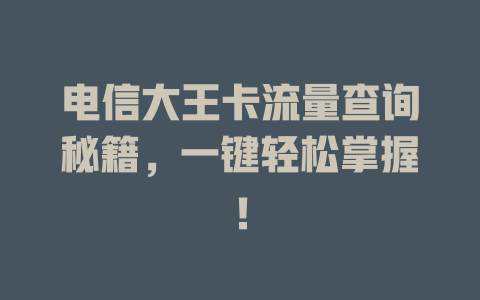 电信大王卡流量查询秘籍，一键轻松掌握！