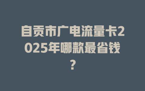 自贡市广电流量卡2025年哪款最省钱？