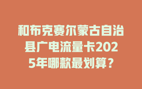 和布克赛尔蒙古自治县广电流量卡2025年哪款最划算？