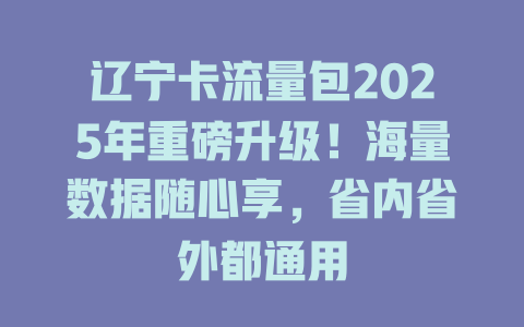 辽宁卡流量包2025年重磅升级！海量数据随心享，省内省外都通用