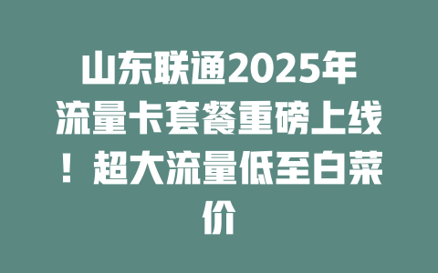 山东联通2025年流量卡套餐重磅上线！超大流量低至白菜价