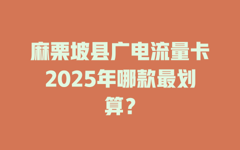 麻栗坡县广电流量卡2025年哪款最划算？