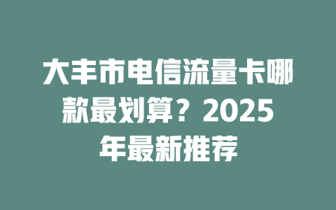 大丰市电信流量卡哪款最划算？2025年最新推荐