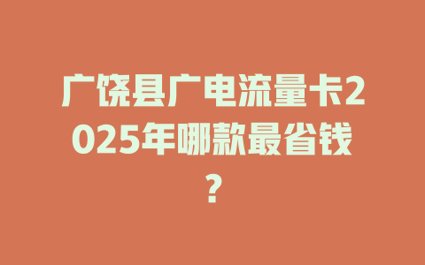 广饶县广电流量卡2025年哪款最省钱？