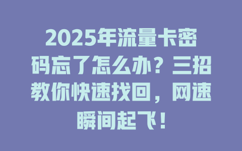 2025年流量卡密码忘了怎么办？三招教你快速找回，网速瞬间起飞！