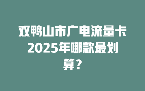 双鸭山市广电流量卡2025年哪款最划算？