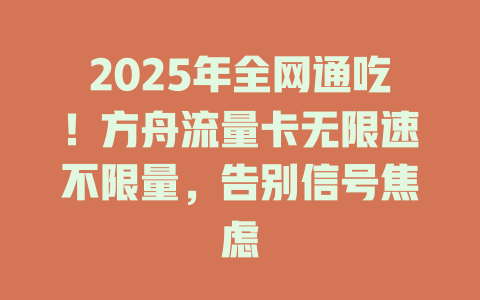 2025年全网通吃！方舟流量卡无限速不限量，告别信号焦虑