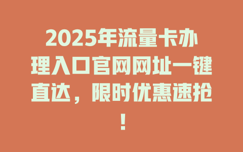 2025年流量卡办理入口官网网址一键直达，限时优惠速抢！