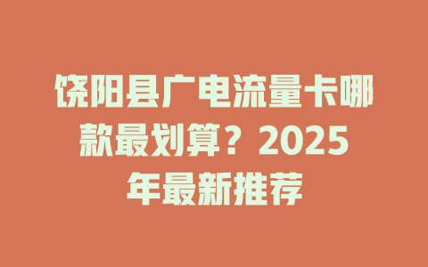 饶阳县广电流量卡哪款最划算？2025年最新推荐