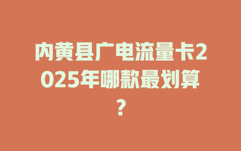 内黄县广电流量卡2025年哪款最划算？