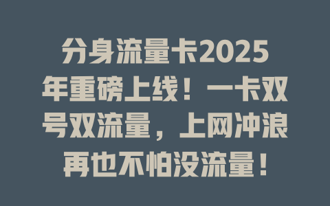 分身流量卡2025年重磅上线！一卡双号双流量，上网冲浪再也不怕没流量！