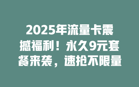 2025年流量卡震撼福利！永久9元套餐来袭，速抢不限量