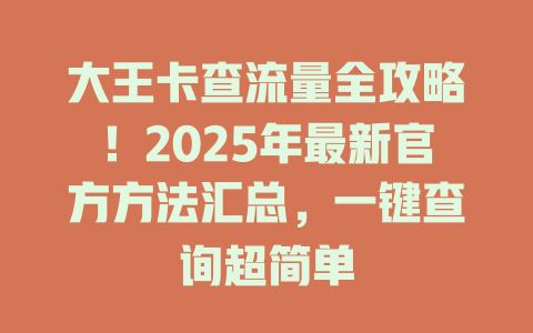 大王卡查流量全攻略！2025年最新官方方法汇总，一键查询超简单