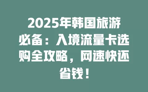 2025年韩国旅游必备：入境流量卡选购全攻略，网速快还省钱！