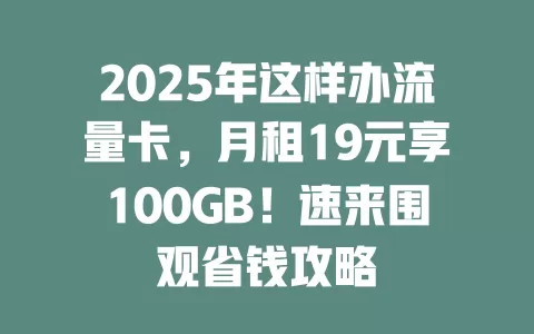 2025年这样办流量卡，月租19元享100GB！速来围观省钱攻略