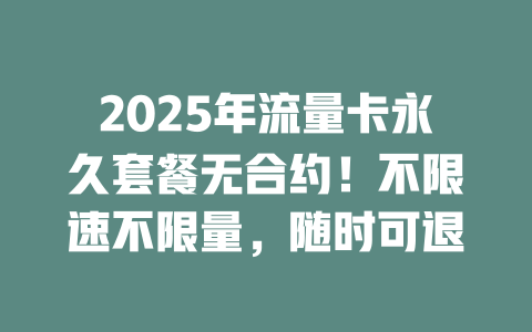 2025年流量卡永久套餐无合约！不限速不限量，随时可退