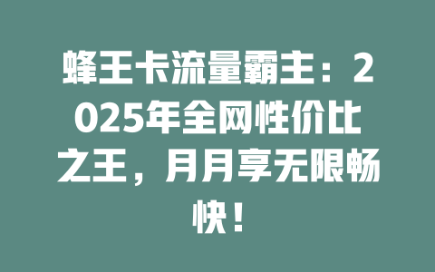 蜂王卡流量霸主：2025年全网性价比之王，月月享无限畅快！