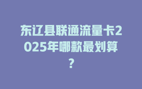 东辽县联通流量卡2025年哪款最划算？