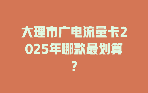 大理市广电流量卡2025年哪款最划算？