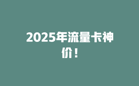2025年流量卡神价！