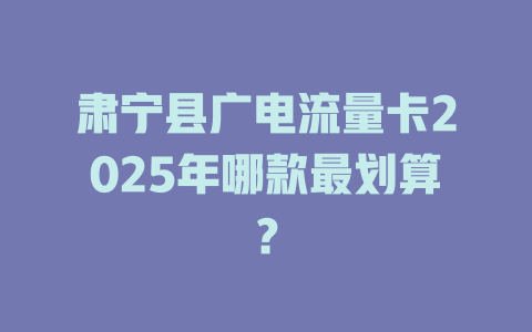 肃宁县广电流量卡2025年哪款最划算？