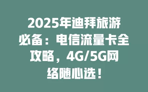 2025年迪拜旅游必备：电信流量卡全攻略，4G/5G网络随心选！