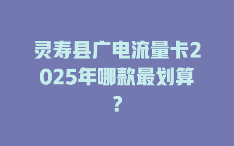 灵寿县广电流量卡2025年哪款最划算？