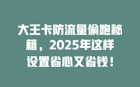 大王卡防流量偷跑秘籍，2025年这样设置省心又省钱！